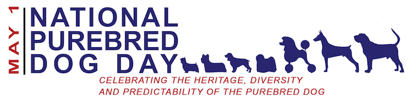 National Purebred Dog Day