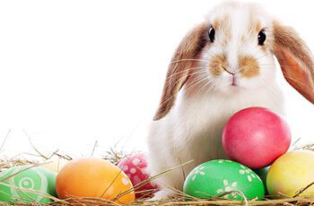When is Easter Sunday, What to do, Where to Celebrate and All You need about Easter Sunday. Happy Easter Sunday!