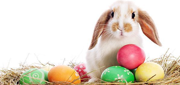 When is Easter Sunday, What to do, Where to Celebrate and All You need about Easter Sunday. Happy Easter Sunday!