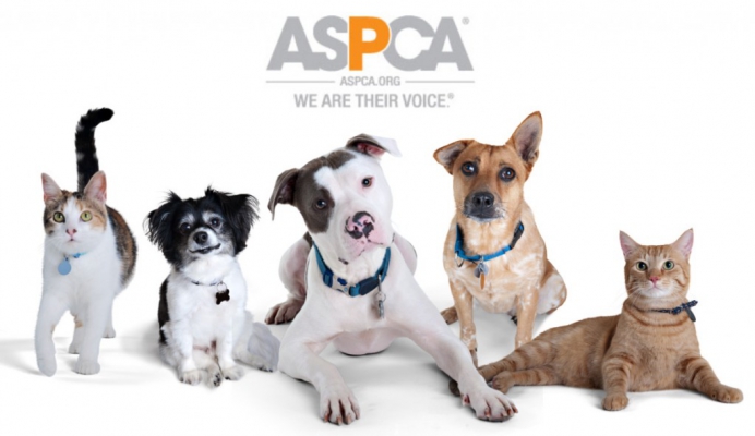 American Society for the Prevention of Cruelty to Animals Day