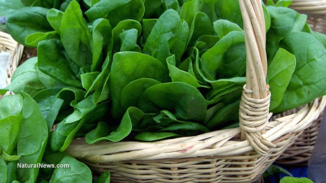 National Fresh Spinach Day