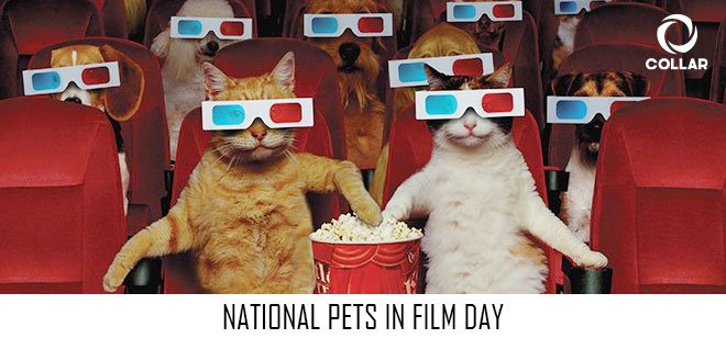 National Pets in Film Day