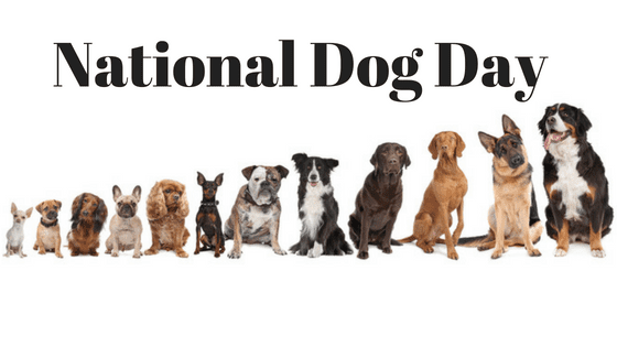 When is National Dog Day This Year and How to Celebrate