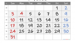 Printable July 2022 Calendar with Holidays