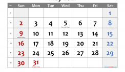 Printable May 2021 Calendar with Holidays