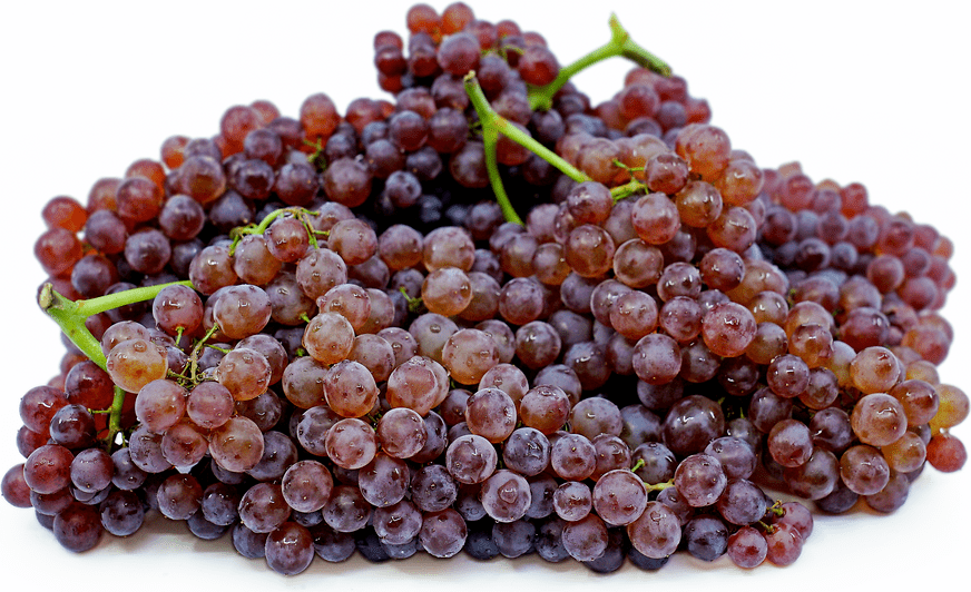 When is Grape Season and Types of Grape: Champagne Grape