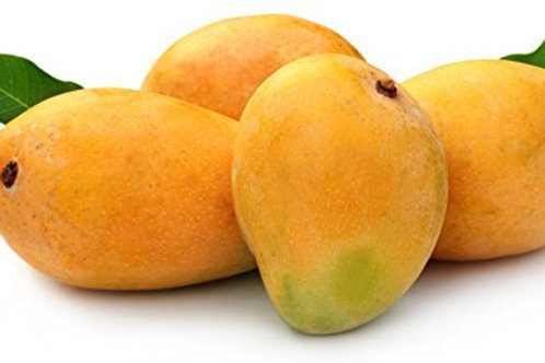When is Mango Season and Where do Mangoes Grow and Types of Mango: Badami