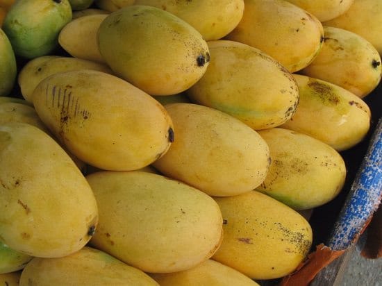 When is Mango Season and Where do Mangoes Grow and Types of Mango: Dasheri