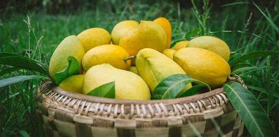 When is Mango Season and Where do Mangoes Grow and Types of Mango: Sein Ta Lone