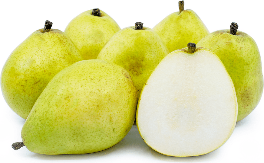 When is Pear Season and health benefits of pears and Types of Pears: Anjous Pear
