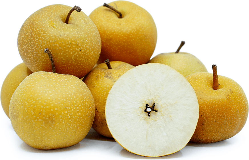 When is Pear Season and health benefits of pears and Types of Pears: Asian Pear