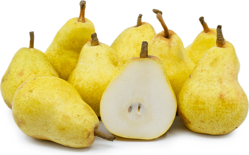 When is Pear Season and health benefits of pears and Types of Pears: Bartlett Pear