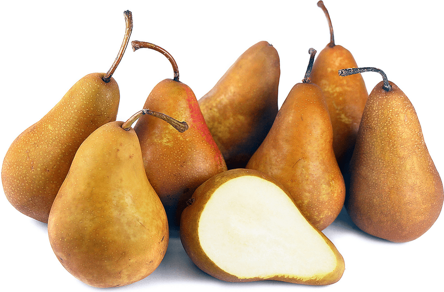 When is Pear Season and health benefits of pears and Types of Pears: Bosc Pear