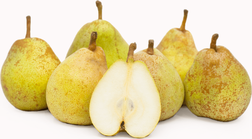 When is Pear Season and health benefits of pears and Types of Pears: Comice Pear