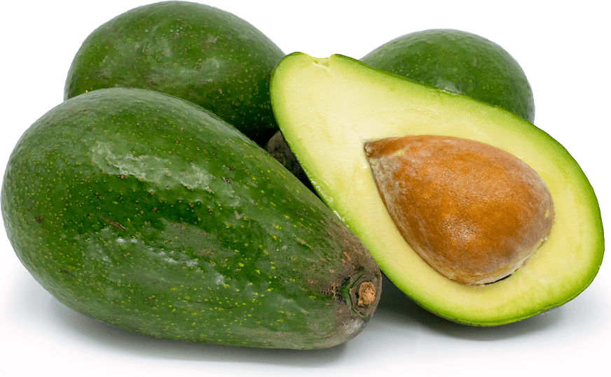 When is Avocado Season and Avocado Nutrition Facts and Types of Avocados: Zutano Avocado