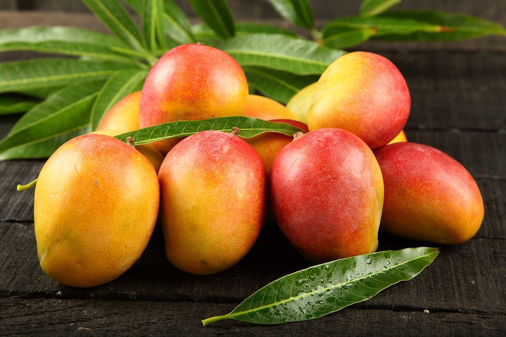 When is Mango Season and Where do Mangoes Grow