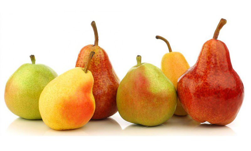 When is Pear Season and Types of Pears