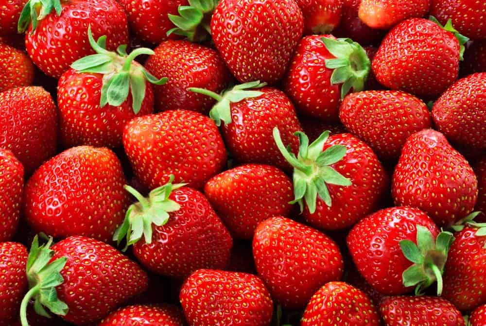 When is Strawberry Season and Types of Strawberry and Strawberry Nutrition