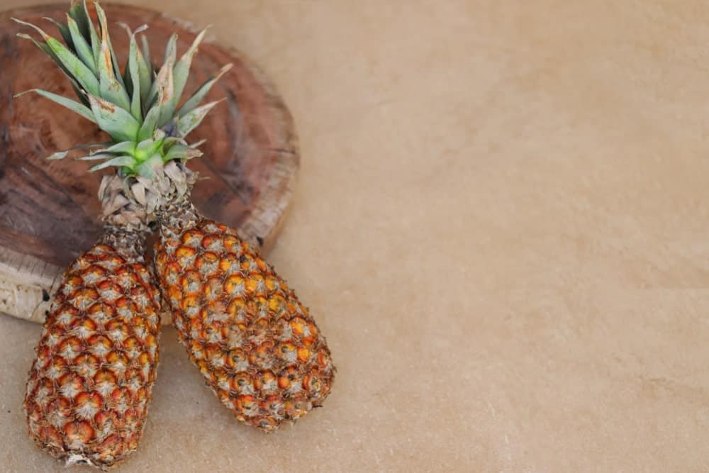 When is Pineapple Season and Types of Pineapple Abacaxi Pineapples
