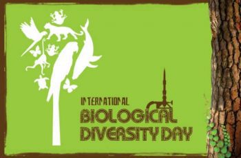 international-day-for-biological-diversity