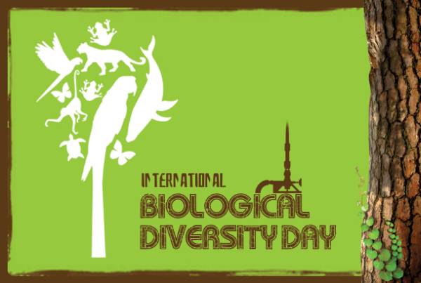 When is International Day for Biological Diversity