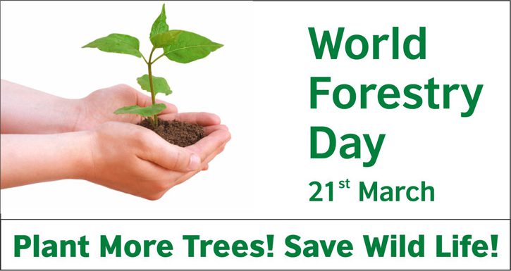 When is International Day of Forests This Year 