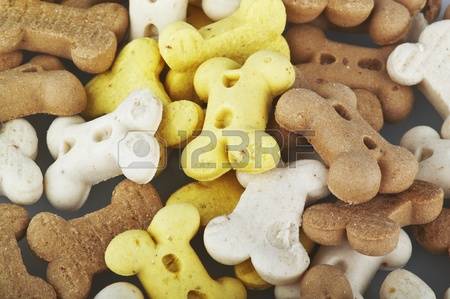 When is International Dog Biscuit Appreciation Day This Year 