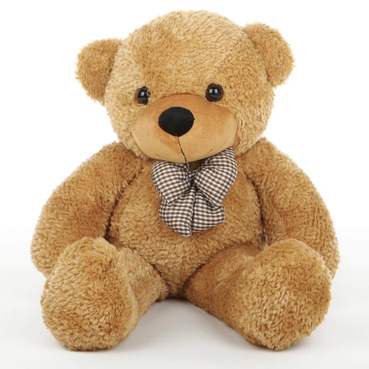 When is National American Teddy Bear Day This Year 