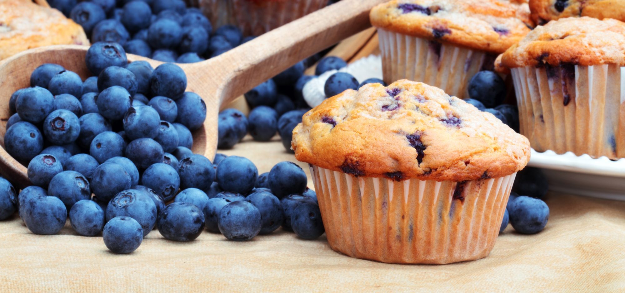 When is National Blueberry Muffin Day This Year 