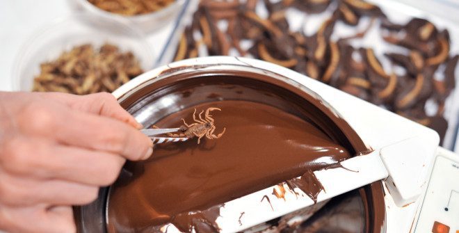 When is National Chocolate-Covered Insect Day This Year
