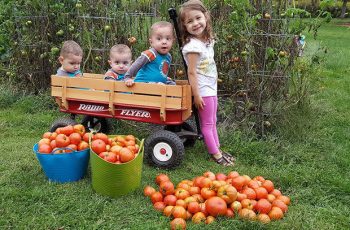 national-farm-safety-day-for-kids