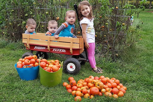 When is National Farm Safety Day for Kids This Year 