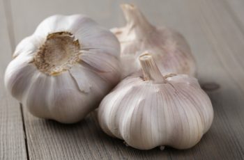 national-garlic-day
