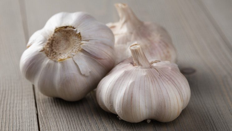 When is National Garlic Day This Year 