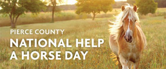 When is National Help a Horse Day This Year 