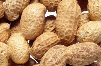national-peanut-day