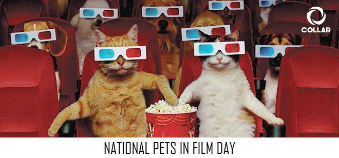 When is National Pets in Film Day This Year 