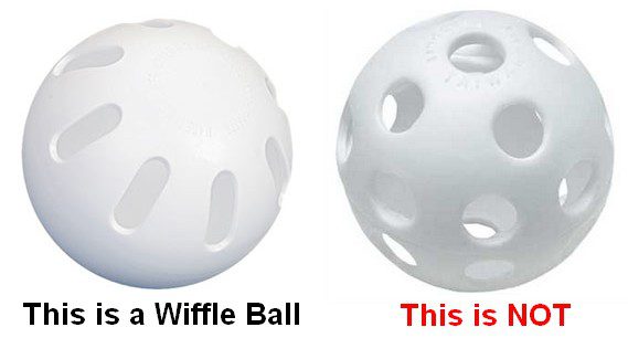 When is National Wiffle Ball Day This Year 