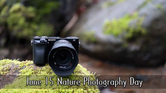 When is Nature Photography Day This Year 
