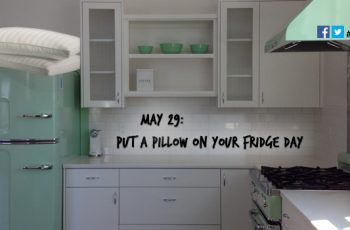 put-a-pillow-on-your-fridge-day