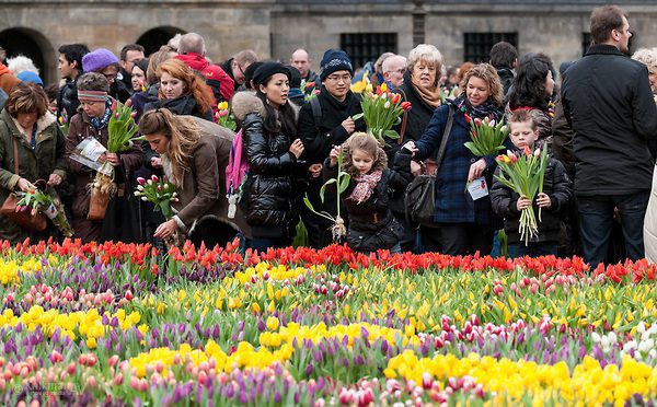 When is Tulip Day This Year