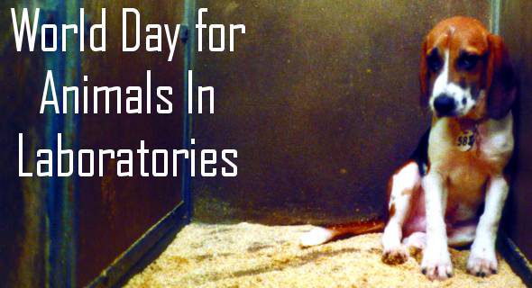 When is World Day for Laboratory Animals This Year 
