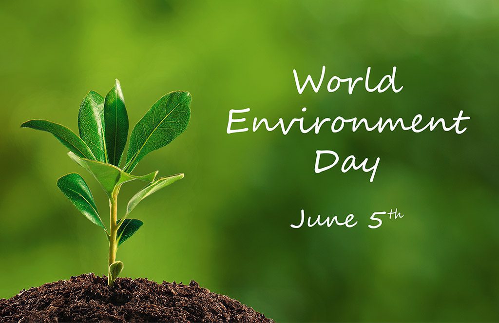 When is World Environment Day This Year 