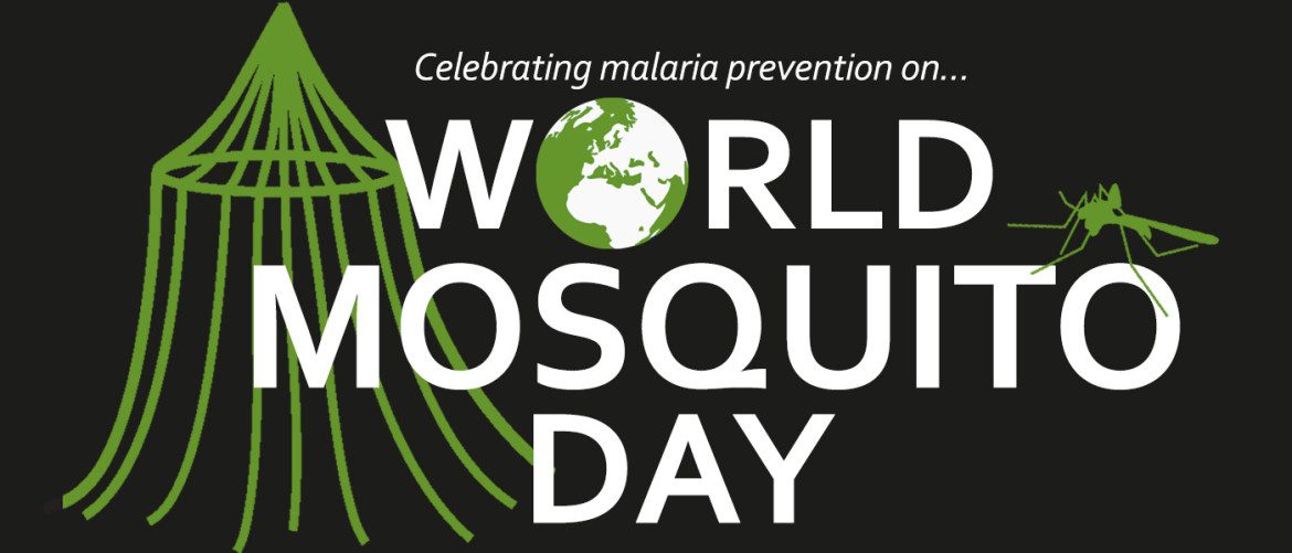 When is World Mosquito Day This Year 