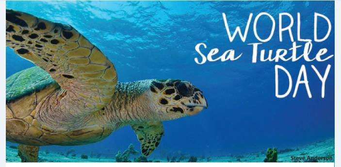 When is World Sea Turtle Day This Year 