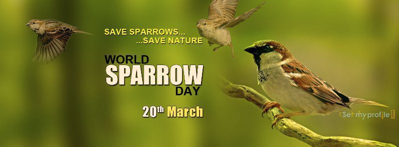 When is World Sparrow Day This Year 