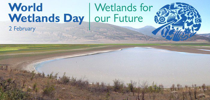 When is World Wetlands Day This Year 