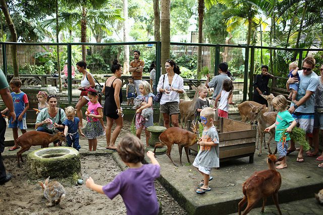 When is Visit the Zoo Day This Year 